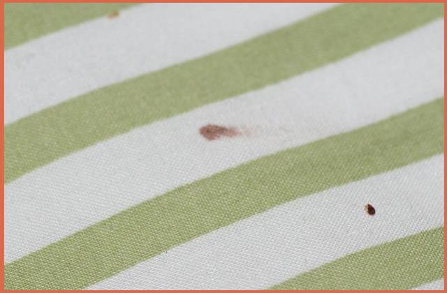 Blood-on-Sheet-From-Bed-Bugs