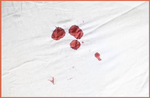 blood-on-sheets-from-bed-bugs